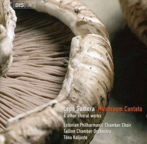 Sumera - Choir Music i gruppen CD hos Bengans Skivbutik AB (2006696)