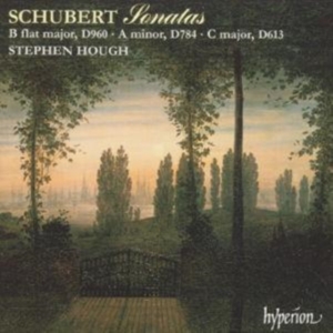 Schubert Franz - Piano Sonatas D 960, 784 & 613 i gruppen CD hos Bengans Skivbutik AB (2007806)