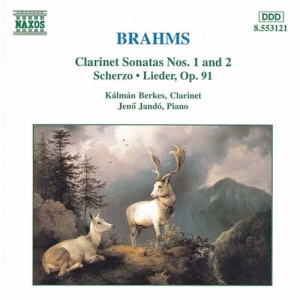 Brahms Johannes - Sonatas For Clarinet & Piano i gruppen CD hos Bengans Skivbutik AB (2009387)
