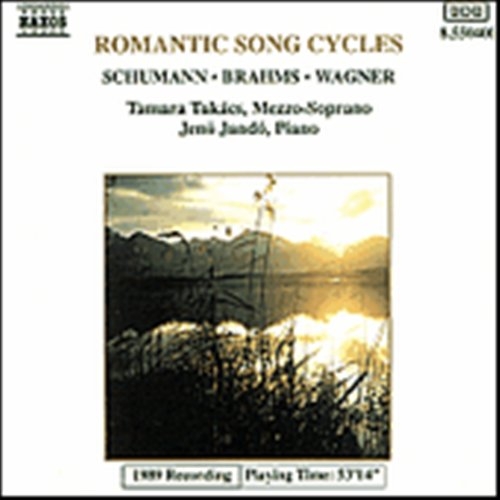 Various - Romantic Song Cycles i gruppen CD hos Bengans Skivbutik AB (2009408)