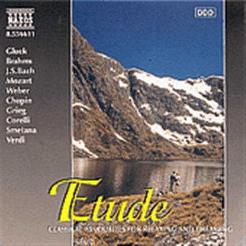 Various - Etude i gruppen CD / Toppselgere hos Bengans Skivbutik AB (2010809)