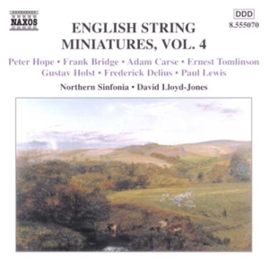 Various - Eng String Miniatures 4 i gruppen CD hos Bengans Skivbutik AB (2010865)