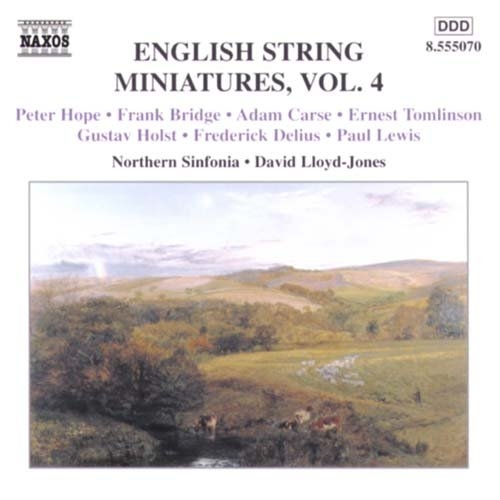 Various - Eng String Miniatures 4 i gruppen CD hos Bengans Skivbutik AB (2010865)