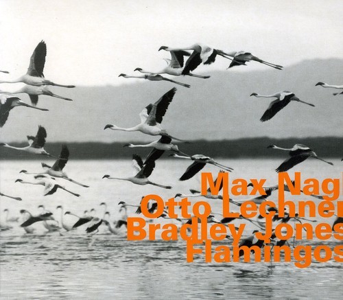 Nagl Max - Lechner/Jones/ Flamingos i gruppen CD / Jazz/Blues hos Bengans Skivbutik AB (2011276)