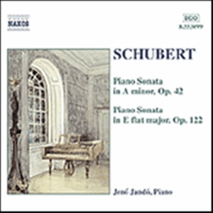 Schubert Franz - Piano Sonatas i gruppen CD hos Bengans Skivbutik AB (2011846)