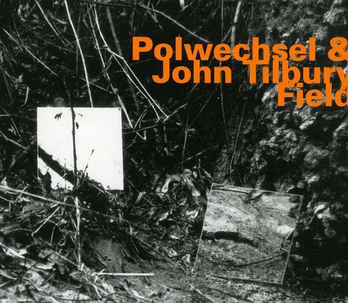 Polwechsel & John Tilbury - Field i gruppen CD / Jazz/Blues hos Bengans Skivbutik AB (2014560)
