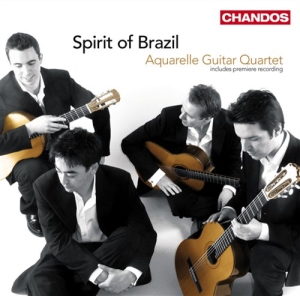 Various Composers - Spirit Of Brazil i gruppen CD hos Bengans Skivbutik AB (2014764)
