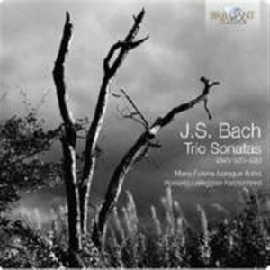 Bach - Trio Sonatas i gruppen CD hos Bengans Skivbutik AB (2016186)
