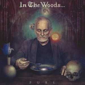 In The Woods - Pure i gruppen CD hos Bengans Skivbutik AB (2032066)