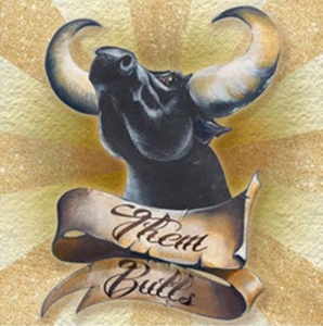 Them Bulls - Them Bulls i gruppen CD hos Bengans Skivbutik AB (2060715)