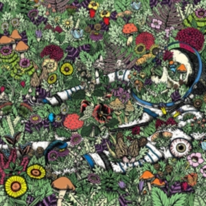 Oozing Wound - Whatever Forever i gruppen VINYL hos Bengans Skivbutik AB (2060758)