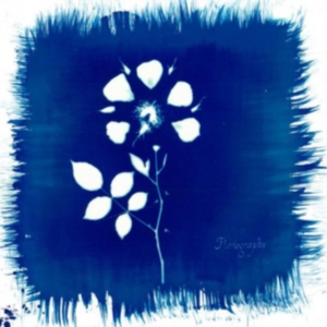 Painted Zeros - Floriography i gruppen CD hos Bengans Skivbutik AB (2062536)