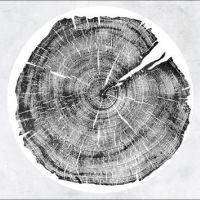 Montgomery Roy - M: Darkmotif Dancehall i gruppen VINYL hos Bengans Skivbutik AB (2069887)