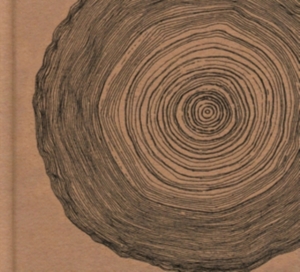 Ó - Year Of The Rabbit (Deluxe Cd i gruppen CD hos Bengans Skivbutik AB (2071565)