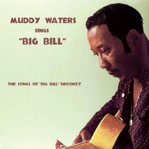 Waters Muddy - Sings Big Bill i gruppen CD hos Bengans Skivbutik AB (2074006)