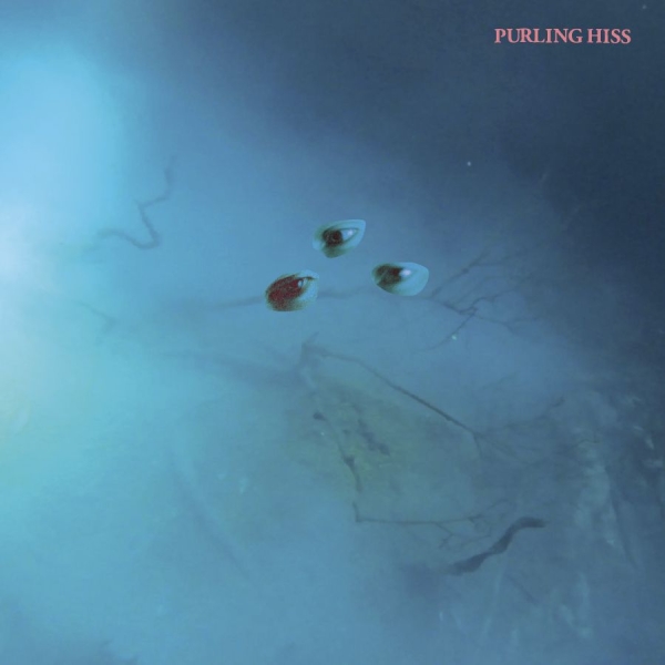 Purling Hiss - High Bias i gruppen VINYL / Toppselgere hos Bengans Skivbutik AB (2084209)