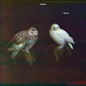 Dungen - Häxan i gruppen CD / Pop-Rock hos Bengans Skivbutik AB (2101159)
