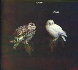 Dungen - Häxan i gruppen Minishops / Dungen hos Bengans Skivbutik AB (2101159)