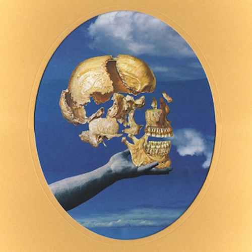 Sun Angle - Skullflower i gruppen VINYL / Rock hos Bengans Skivbutik AB (2108887)