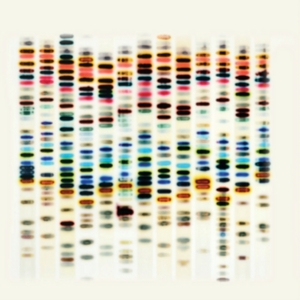 St 37 - I'm Not Good i gruppen CD hos Bengans Skivbutik AB (2250194)