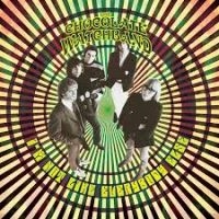 Hillage Steve - Madison Square Garden 1977 i gruppen VINYL hos Bengans Skivbutik AB (2250327)