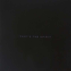 Bring Me The Horizon - That's The Spirit i gruppen CD hos Bengans Skivbutik AB (2262308)