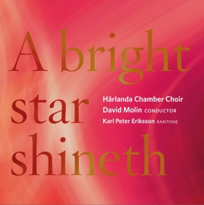 Härlanda Chamber Choir David Molin - A Bright Star Shineth i gruppen CD hos Bengans Skivbutik AB (2263673)