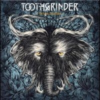 Toothgrinder - Nocturnal Masquerade i gruppen CD hos Bengans Skivbutik AB (2271534)