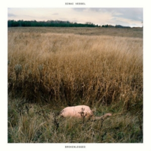 Sinai Vessel - Brokenlegged i gruppen VINYL hos Bengans Skivbutik AB (2278936)