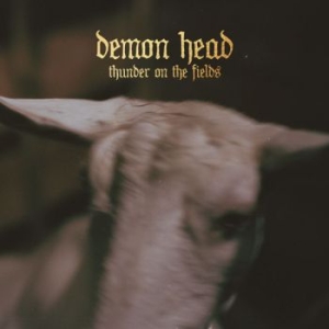 Demon Head - Thunder On The Fields Cd i gruppen CD / Pop-Rock hos Bengans Skivbutik AB (2288147)