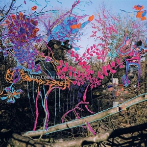 Animal Collective - Here Comes The Indian(Vinyl) i gruppen VINYL hos Bengans Skivbutik AB (2363601)