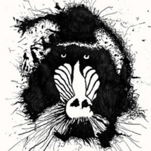 Feral Ohms - Feral Ohms i gruppen CD hos Bengans Skivbutik AB (2366323)