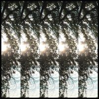 Pontiak - Dialectic Of Ignorance i gruppen VINYL hos Bengans Skivbutik AB (2391945)