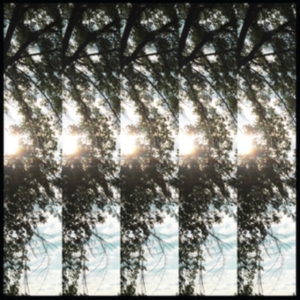 Pontiak - Dialectic Of Ignorance i gruppen CD hos Bengans Skivbutik AB (2391946)