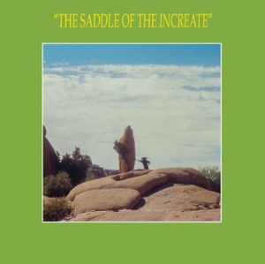 Sun Araw - Saddle Of The Increate i gruppen CD hos Bengans Skivbutik AB (2392778)