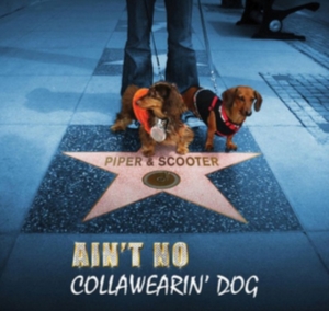 Piper & Scooter - Ain't No Collawearin' Dog i gruppen CD hos Bengans Skivbutik AB (2396880)
