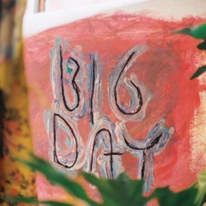 Loose Tooth - Big Day i gruppen VINYL / Pop-Rock hos Bengans Skivbutik AB (2400123)