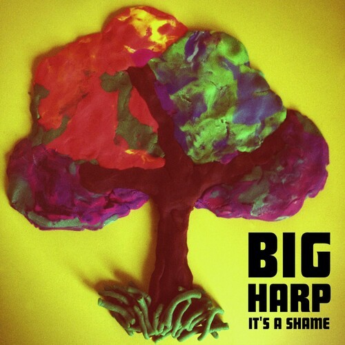 Big Harp - It's A Shame i gruppen VINYL / Rock hos Bengans Skivbutik AB (2404706)