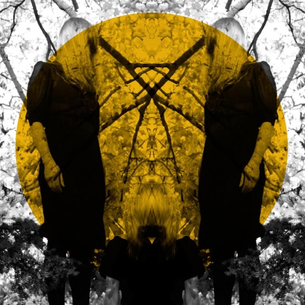 Austra - Feel It Break i gruppen VINYL / Toppselgere hos Bengans Skivbutik AB (2405658)