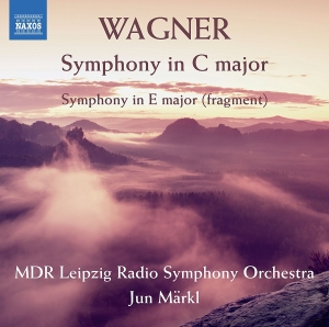 Mdr Leipzig Radio Symphony Orchestr - Symphony In C Major i gruppen CD hos Bengans Skivbutik AB (2405726)