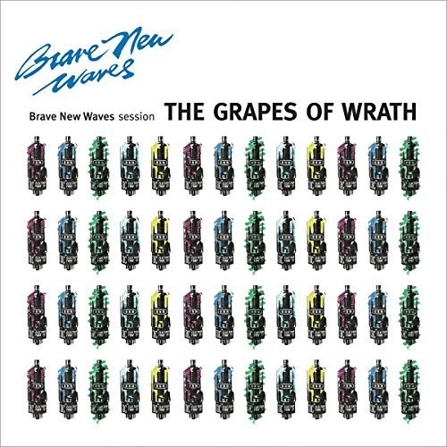 Grapes Of Wrath - Brave New Waves Session i gruppen CD / Pop hos Bengans Skivbutik AB (2409781)
