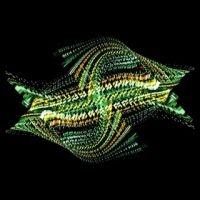 Bogus Order - Zen Brakes Vol. 2 i gruppen CD hos Bengans Skivbutik AB (2414833)