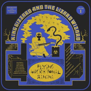 King Gizzard & The Lizard Wizard - Flying Microtonal Banana i gruppen Minishops / King Gizzard hos Bengans Skivbutik AB (2422652)