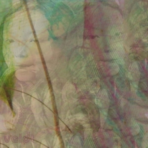 Veldt - Symmetry i gruppen VINYL / Pop-Rock hos Bengans Skivbutik AB (2429540)