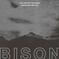 Bison - You Are Not The Ocean You Are The P i gruppen VINYL / Toppselgere hos Bengans Skivbutik AB (2437222)