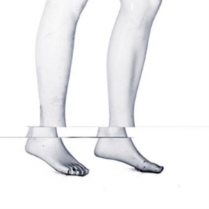 Echolust - Veldisa i gruppen CD hos Bengans Skivbutik AB (2443886)