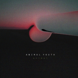 Animal Youth - Animal i gruppen VINYL hos Bengans Skivbutik AB (2461899)