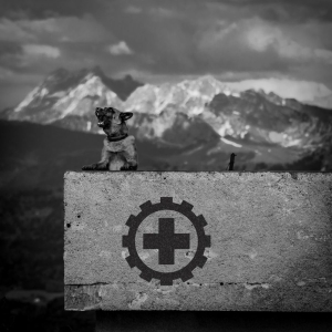 Laibach - Also Sprach Zarathustra i gruppen CD hos Bengans Skivbutik AB (2461930)