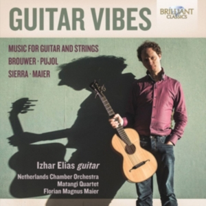 Various - Guitar Vibes i gruppen CD hos Bengans Skivbutik AB (2491282)