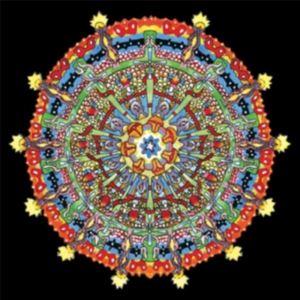 Of Montreal - Hissing Fauna, Are You The Des i gruppen VINYL hos Bengans Skivbutik AB (2498932)